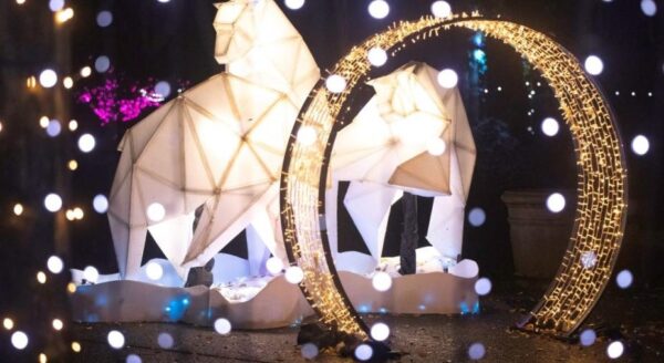 The image features illuminated, geometric-shaped lions standing beside a circular, glowing arch, surrounded by numerous sparkling lights, creating a whimsical and festive ambiance.