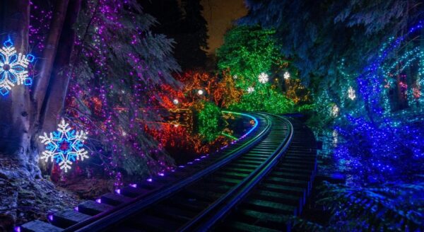 A winding train track illuminated by colorful holiday lights, surrounded by trees. Snowflake decorations hang amidst the vibrant colors, creating a festive night scene.