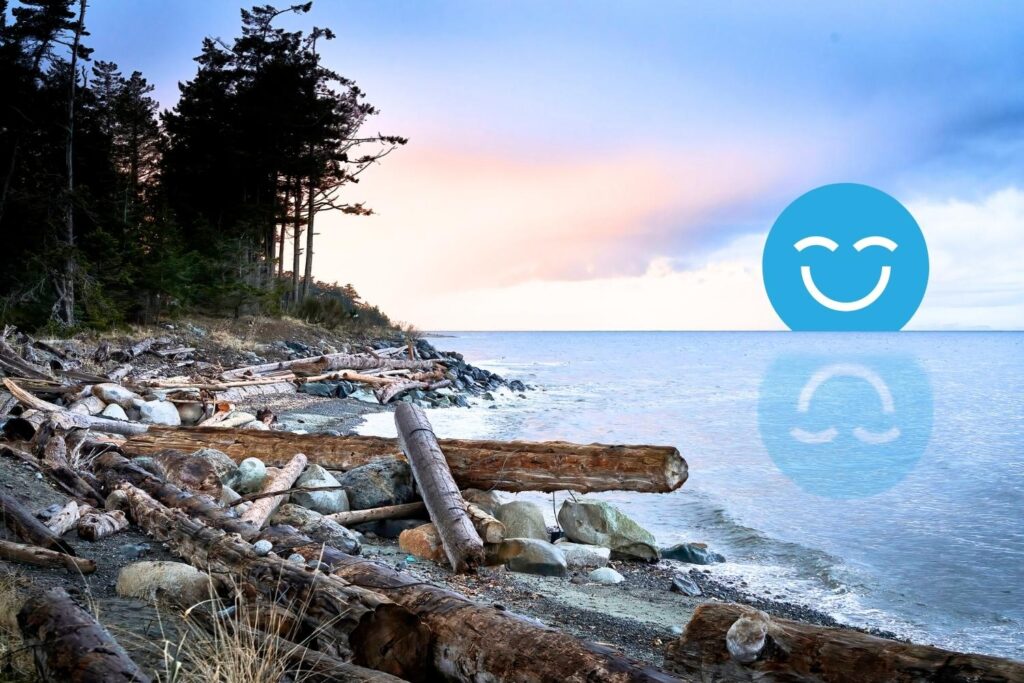 A calm beach scene with logs scattered on the shore, a serene sea, and a sunset sky. A large, blue smiling face is superimposed on the right side, reflecting in the water.