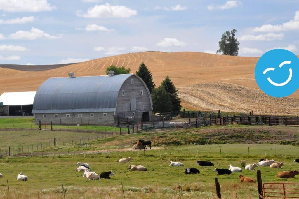 A rural landscape featuring a barn and grazing animals against a backdrop of rolling hills and a blue sky with scattered clouds.